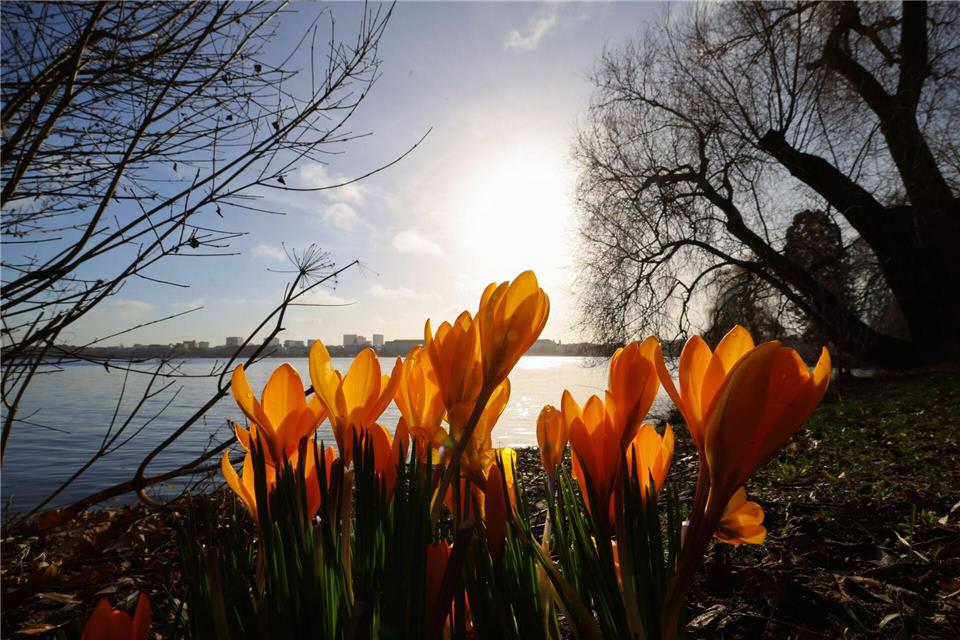 In der nächsten Woche wird es wieder wärmer und sonniger.Christian Charisius/dpa