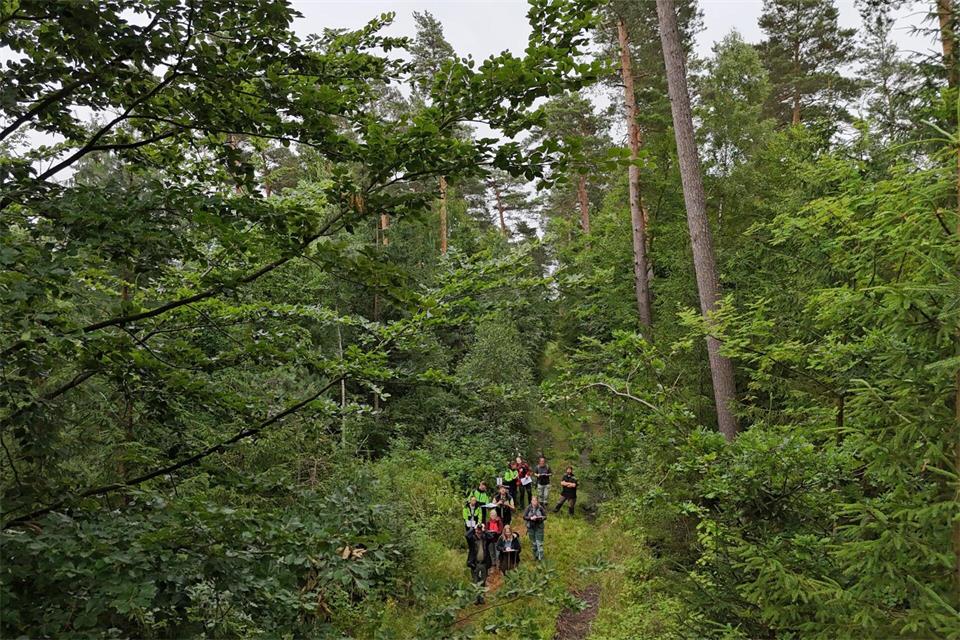 In diesem Jahr gab es in Thüringen bislang 47 Waldbrände. (Symbolbild)Martin Schutt/dpa