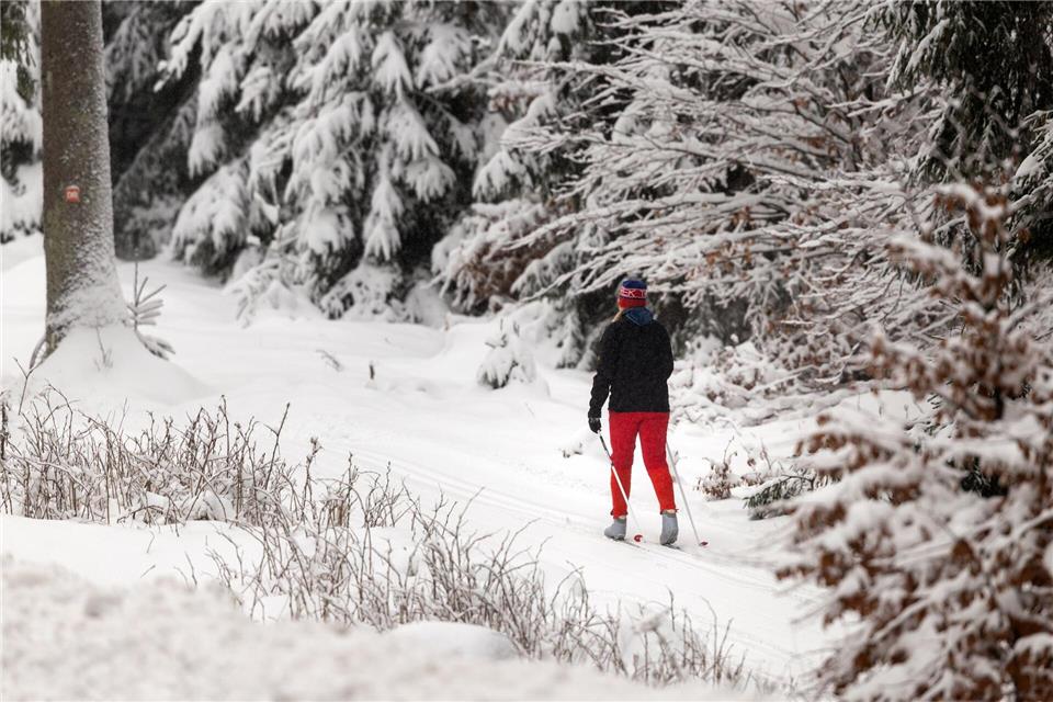 In diesem Jahr gab es reichlich Schnee im Thüringer Wald. (Symbolbild)Michael Reichel/dpa