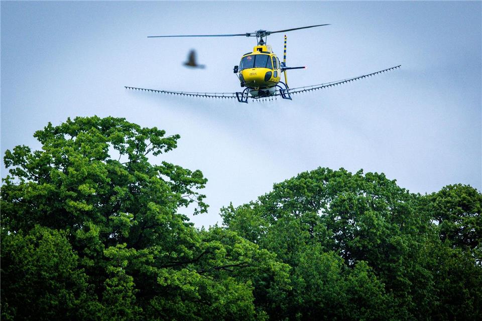 In diesem Jahr sollen Eichenprozessionsspinner im Südwesten von MV wieder aus der Luft bekämpft werden. (Archivbild)Jens Büttner/dpa
