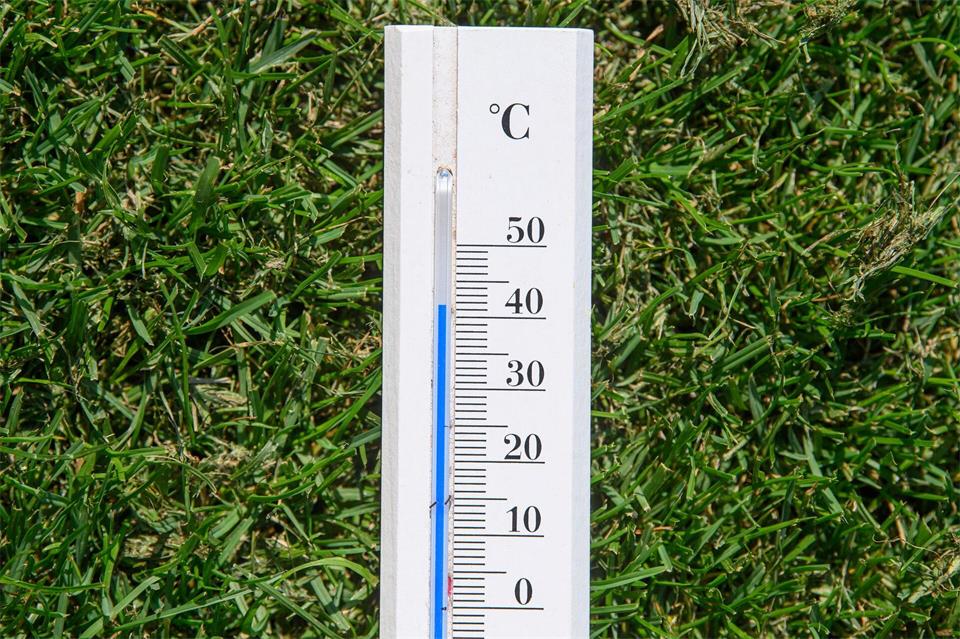 In diesem Sommer wurden in deutschen Städten Temperaturen von mehr als 40 Grad Celsius registriert (Archvibild). Robert Michael/dpa-Zentralbild/ZB
