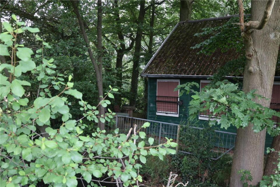 In dieser Holzhütte schlug ein Spürhund während der Leichensuche am Montag an. Die Ermittler sicherten dort eine Spur, die nun untersucht wird.