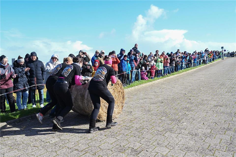 In Ostfriesland werden „Strohballen-Rollmeister“ gesucht In drei Kategorien (Männer-, Frauen- und Mixteams) wird jeweils ein „Strohballen-Rollmeister“ gesucht. (Archivbild)Lars Penning/dpa