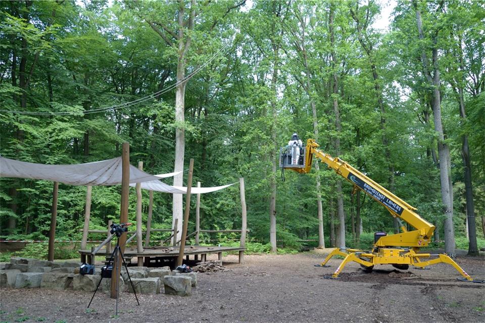 In eine Höhe von 30 Metern haben sich Mitarbeiter einer Spezialfirma am Mittwoch mit diesem Hubsteiger fahren lassen, um Nester des Eichenprozessionsspinners zu entfernen.