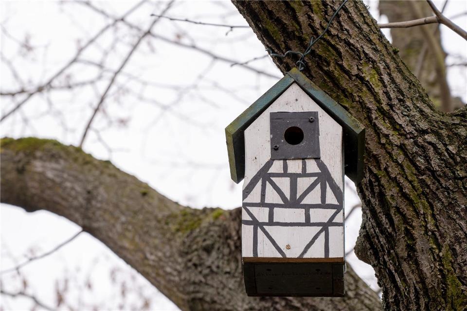 In einem Baum hängt ein Nistkasten für Meisen. (Symbolbild)Peter Zschunke/dpa-Zentralbild/dpa
