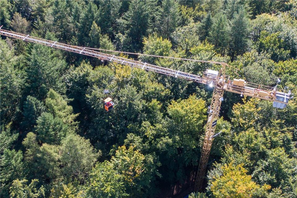 In einem Waldstück bei Demmin untersuchen Wissenschaftler und Wissenschaftlerinnen von Einrichtungen aus Mecklenburg-Vorpommern, Brandenburg und Berlin Bäume detailliert von den Wurzeln bis zur Krone - unter anderem mit einem 45 Meter hohen Drehkran.Stefan Sauer/dpa
