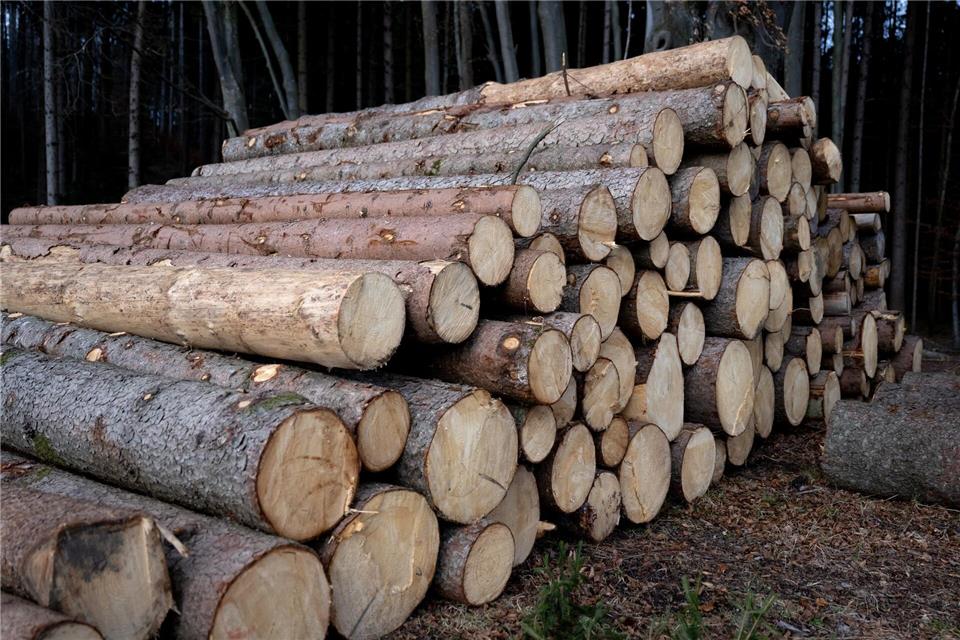 In einem Waldstück bei Siegburg ist es bei Baumfällarbeiten zu einem folgenschweren Arbeitsunfall gekommen. (Symbolbild)Sven Hoppe/dpa