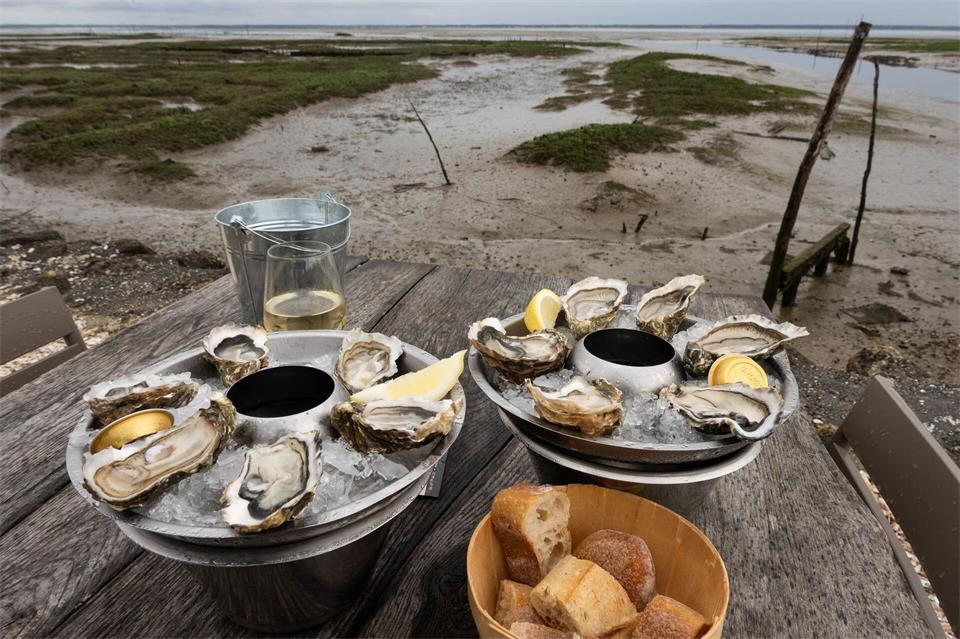 In einer Austernhütte am Becken von Arcachon kann man Austern frisch verkosten.Andreas Drouve/dpa-tmn