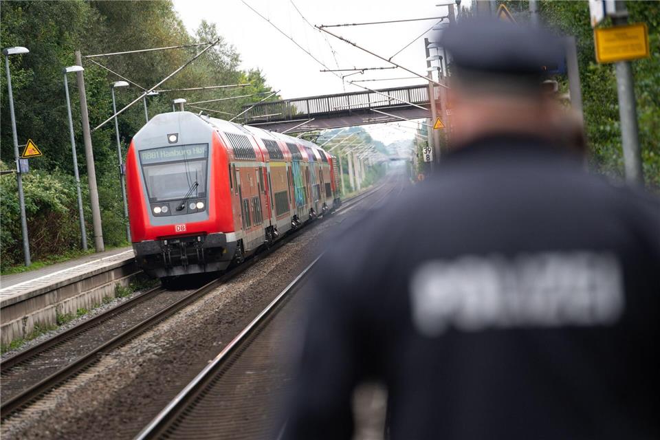 In einer Regionalbahn in Richtung Dessau überrumpelten Mitreisende einen Randalierer, der einen Zugbegleiter angegriffen hatte. (Symbolbild)Jonas Walzberg/dpa