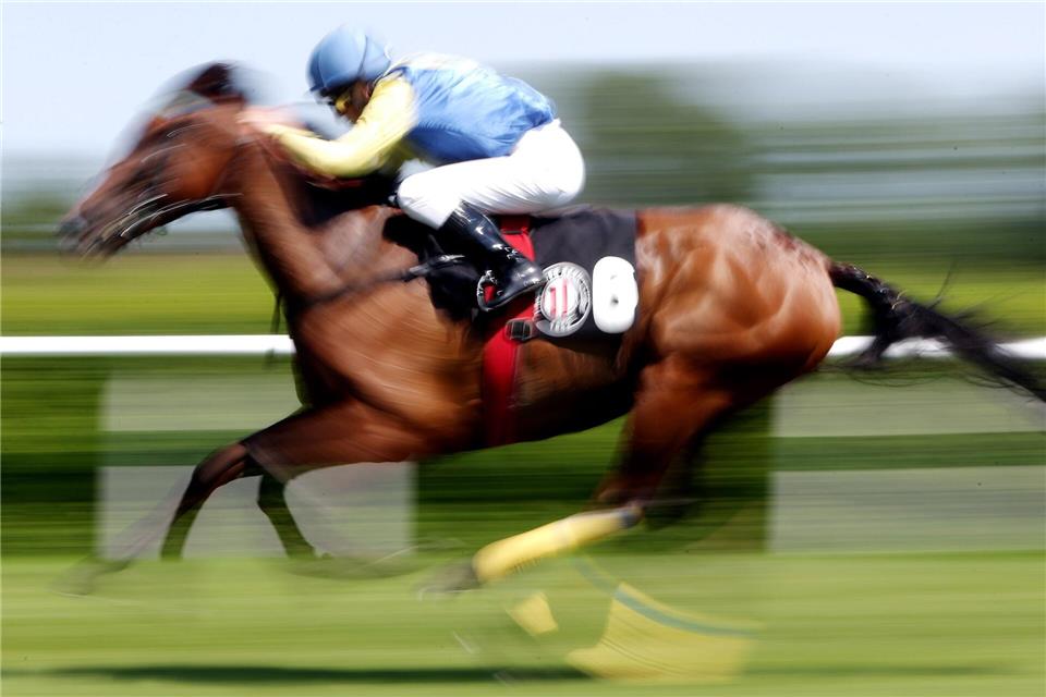 In einer Suppenküche findet ein Gast in seinem Essen den Mikrochip eines ehemaligen Rennpferdes. (Symbolfoto)Malte Christians/dpa/dpa-tmn