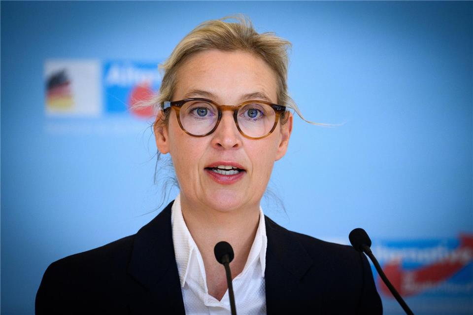 In einer Umfrage für Brandenburg erreichte die AfD zuletzt 35 Prozent. (Archivbild)Bernd von Jutrczenka/dpa