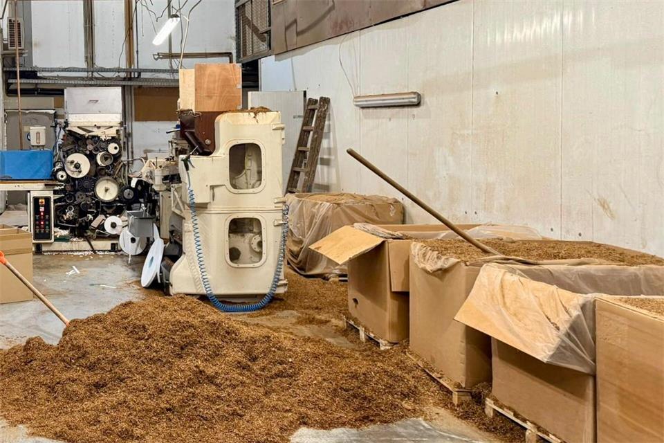 In einer illegalen Zigarettenfabrik lagern große Mengen von geschnittenem Tabak.Zollfahndung Essen/dpa