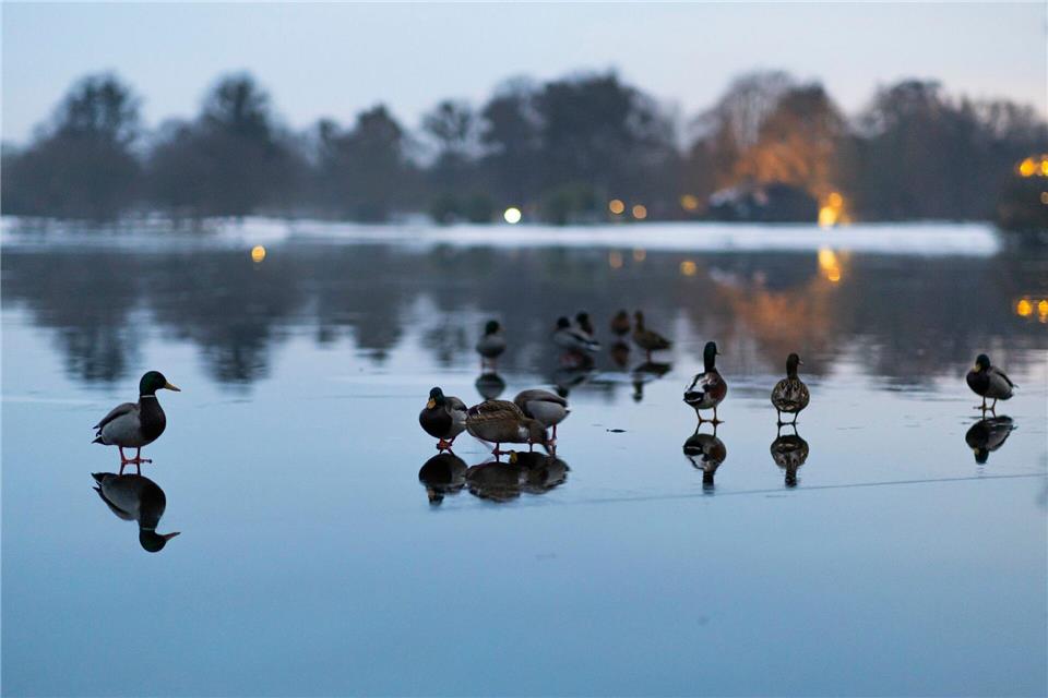 In einigen Gewässern können die Wasserstände infolge der schmelzenden Schneemassen in den kommenden Tagen etwas ansteigen.Michael Matthey/dpa