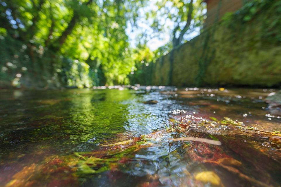 In einigen Gewässern sinken die Wasserstände. (Archivbild)Andreas Arnold/dpa