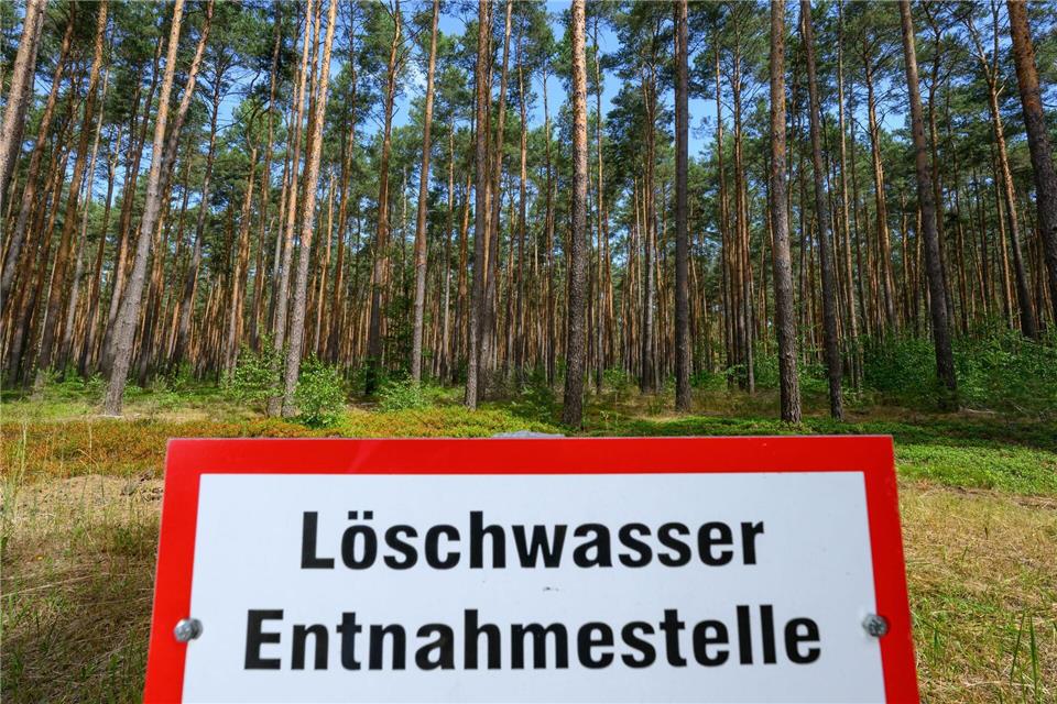 In einigen Regionen in Brandenburg ist die Gefahr vor Waldbränden hoch. (Archivbild)Patrick Pleul/dpa