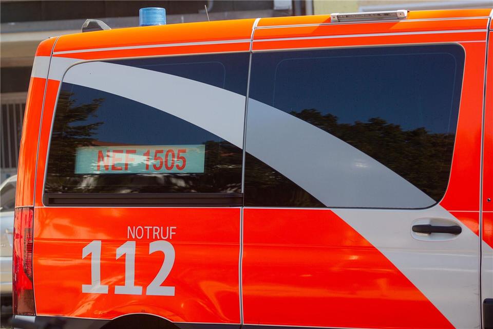 In er Prignitz standen mehrere Hektar Wald in Brand. (Symbolbild)Fernando Gutierrez-Juarez/dpa