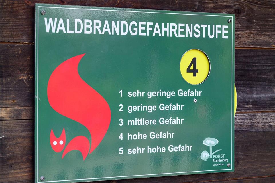 In fünf Landkreisen gilt die zweithöchste Waldbrandstufe. (Archivbild)Patrick Pleul/dpa