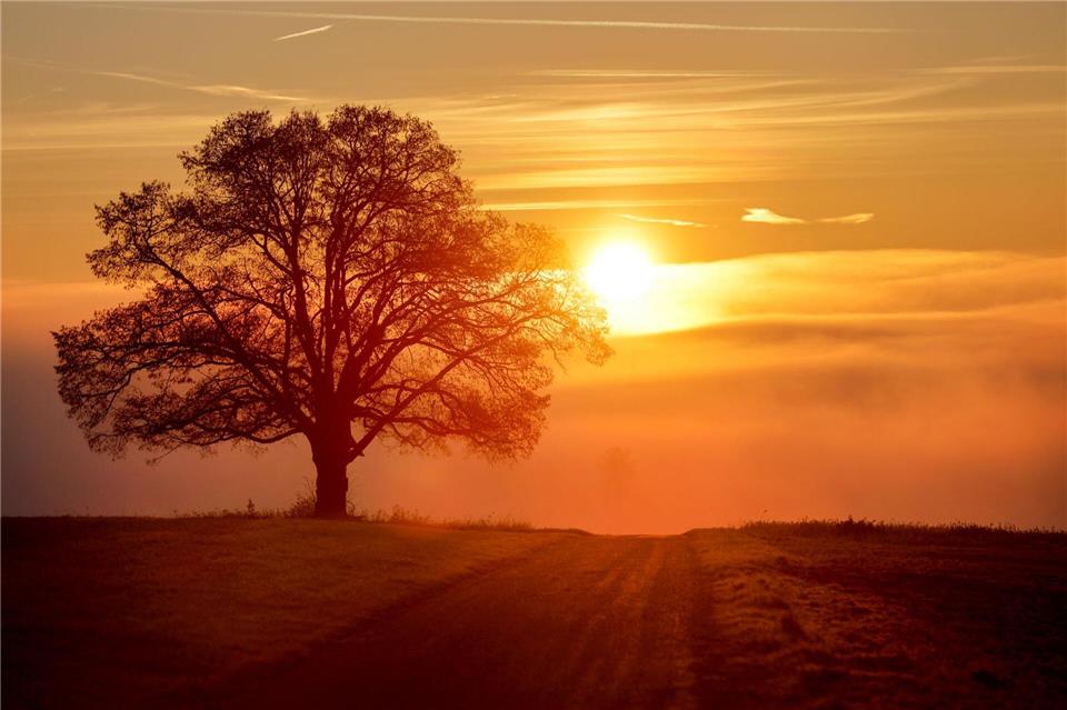 In höheren Lagen kann sich auch die Sonne zeigen.Thomas Warnack/dpa