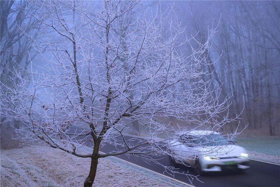 In kalten Nächten ist die Landschaft mit Raureif überzogen.Patrick Pleul/dpa