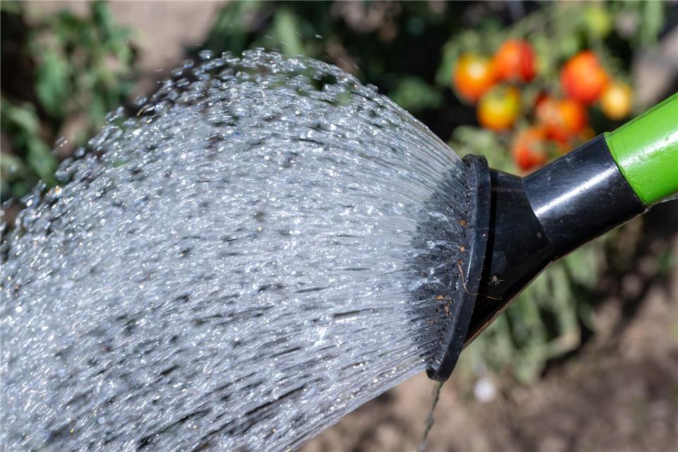 In manchen Landkreisen ist die Entnahme von Wasser etwa mit einer Gießkanne noch erlaubt. (Symbolbild)Hendrik Schmidt/dpa