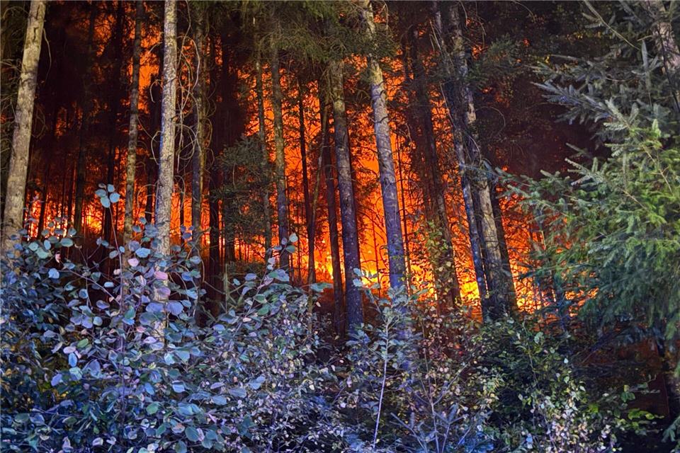 In mehreren Regionen kämpfen Feuerwehrleute gegen Flammen. Marius Daute/Feuerwehr Rottweil/dpa