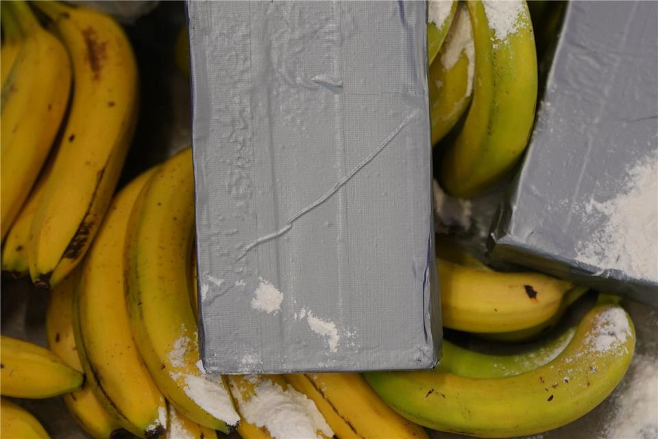 Polizei entdeckt 300 Kilo Drogen in Bananenkisten In mehreren Supermärkten in Berlin und Brandenburg sollen Ermittler versteckte Drogen in Bananenkisten gefunden haben. (Symbolbild)Marcus Brandt/dpa