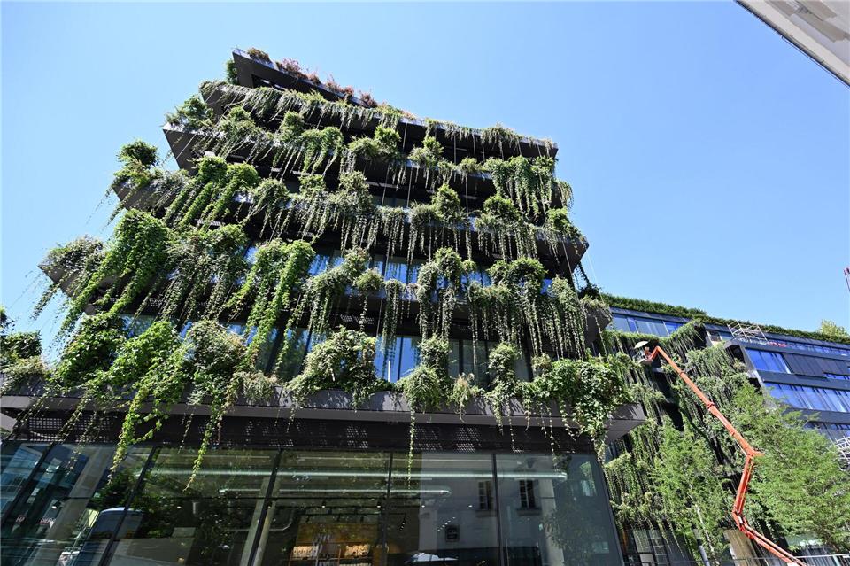 In rund 2000 Gefäßen mit verschiedenen Pflanzen wird dieses Gebäude in Stuttgart begrünt. Damit soll die Fassade durch Verschattung und Verdunstung gekühlt, die Luftqualität gesteigert und Lärm reduziert werden.Bernd Weißbrod/dpa/dpa-tmn