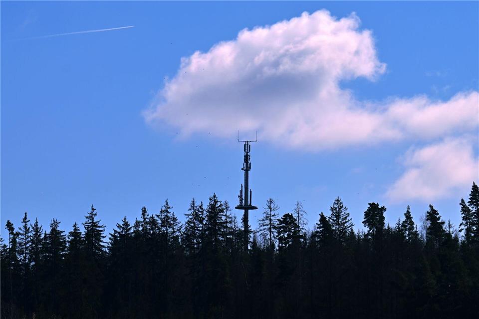 In schwer zugänglichen Gegenden wie im Pfälzer Wald, Hunsrück und Westerwald soll die Mobilfunkverbindung besser werden. (Archivbild)Martin Schutt/dpa
