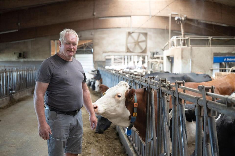 In seinem Stall kühlt Gronbach die Luft oft mit Ventilatoren.Marijan Murat/dpa