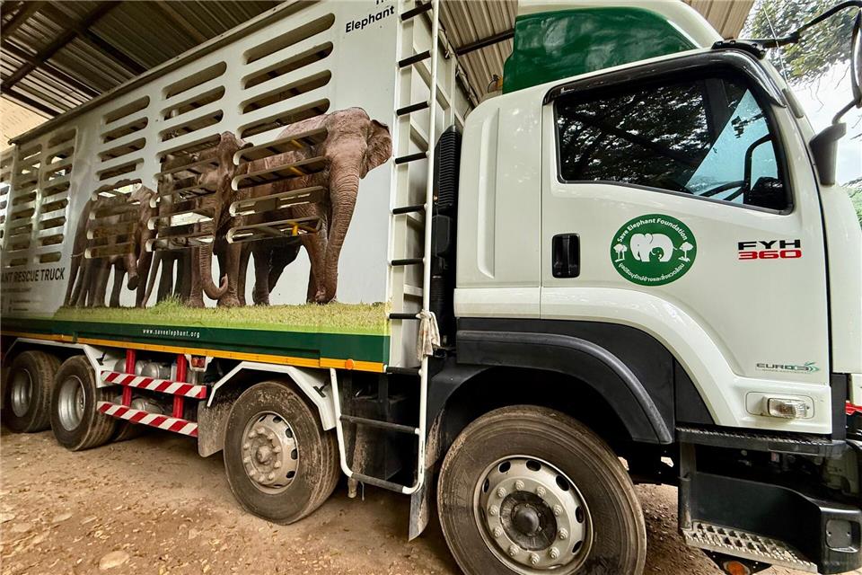 In solchen Trucks werden die Elefanten nach ihrer Rettung in den Elephant Nature Park gefahren.Carola Frentzen/dpa