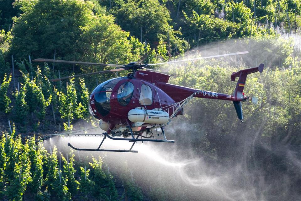 In steilen Weinbergen an der Mosel dürfen auch im Jahr 2026 weiterhin Fungizide mittels Hubschrauber gespritzt werden. (Symbolbild)Harald Tittel/dpa
