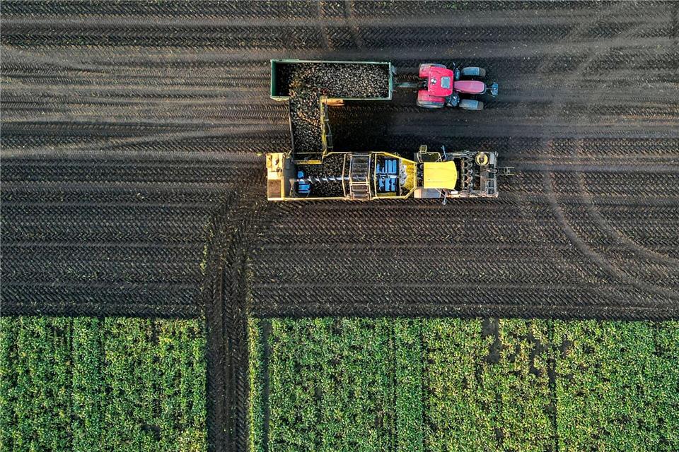 In vielen Regionen Sachsen-Anhalts ist der Bodenwasservorrat weiterhin zu niedrig. (Archivbild) Jan Woitas/dpa