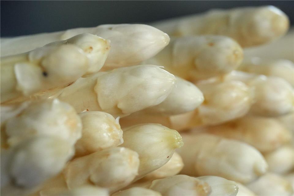 In wenigen Tagen ist Schluss mit frischem Spargel aus Beelitz. (Symbolfoto) Soeren Stache/dpa