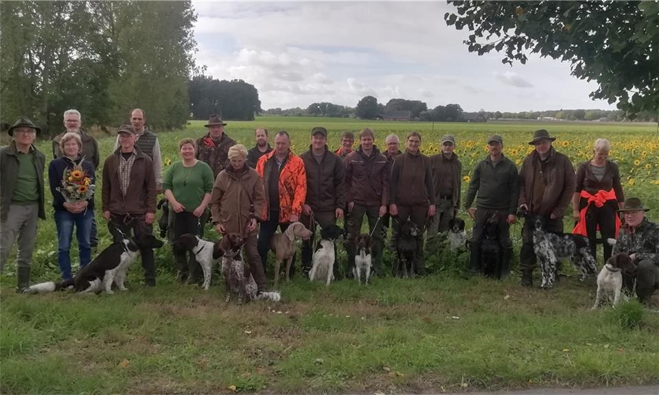 In zwei Gruppen wurden die 13 Hunde geprüft. 