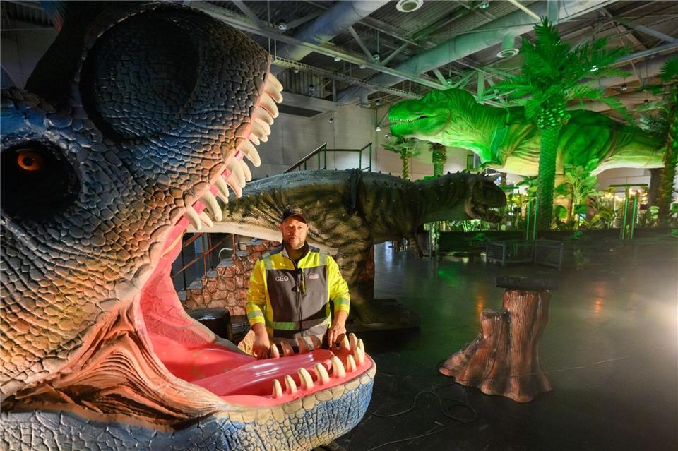 Inhaber Christopher Richter steht zwischen Dinosaurier-Modellen in seiner Ausstellung „Königreich der Dinosaurier“ in der Messe Hannover.Julian Stratenschulte/dpa