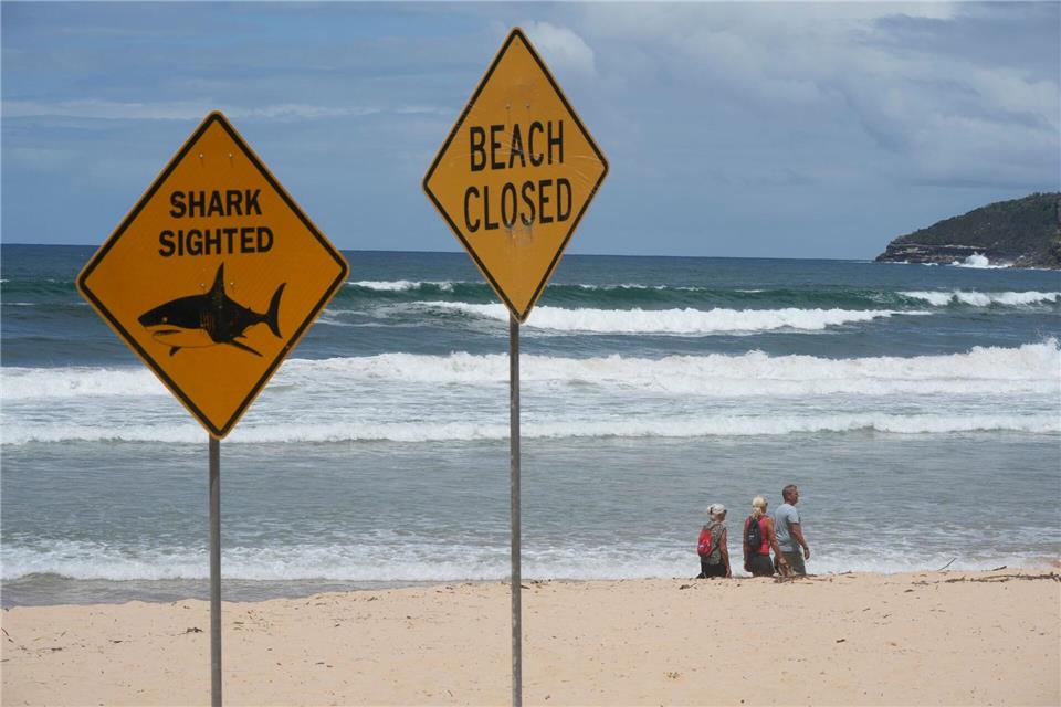 Innerhalb von nur wenigen Tagen wurden aus dem australischen Bundesstaat New South Wales vier Haiangriffe gemeldet. (Symbolbild)Rick Rycroft/AP/dpa