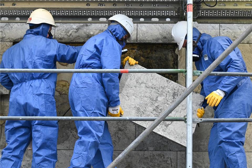 Insbesondere ältere oder leerstehende Gebäude bieten nach Angaben der Kreisverwaltung häufig Unterschlupf für Tiere. (Symbolbild)Arne Dedert/dpa