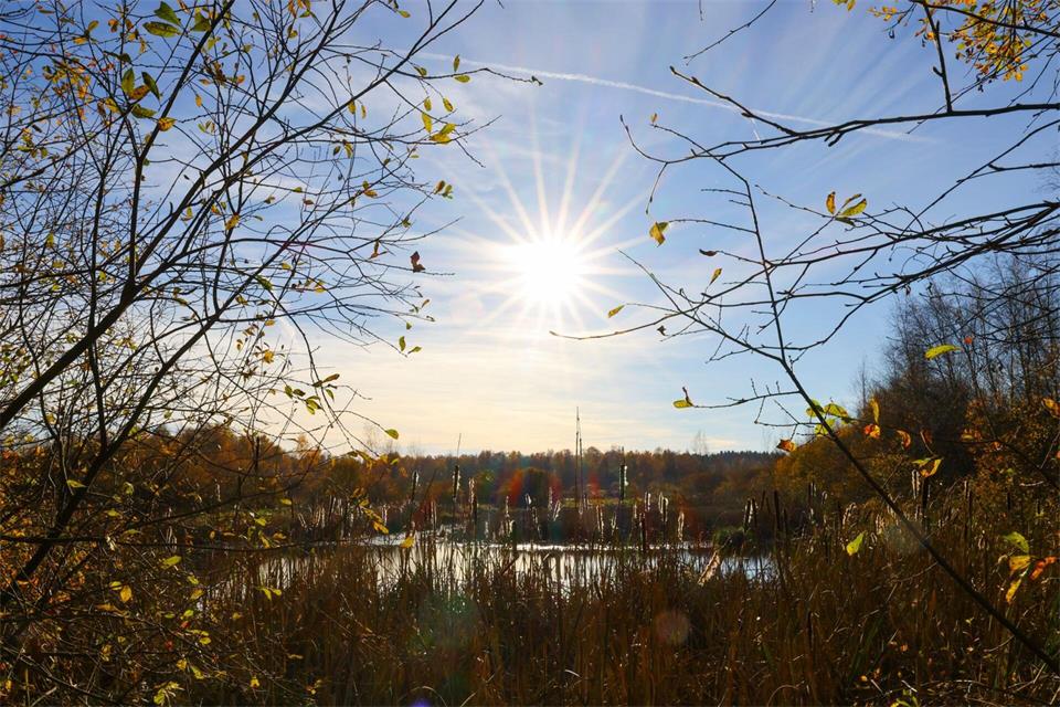Insbesondere bei Sonnenschein bietet sich ein Spaziergang an. (Archivbild)Christian Charisius/dpa