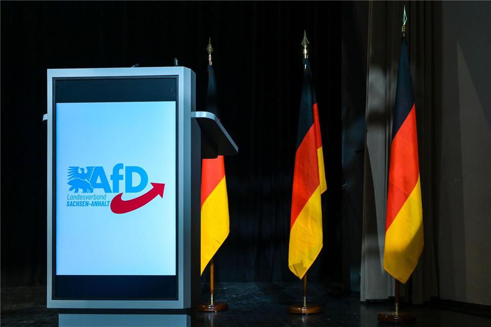 Insbesondere der AfD-Landesverband in Sachsen-Anhalt steht im Fokus. (Archivbild)Heiko Rebsch/dpa