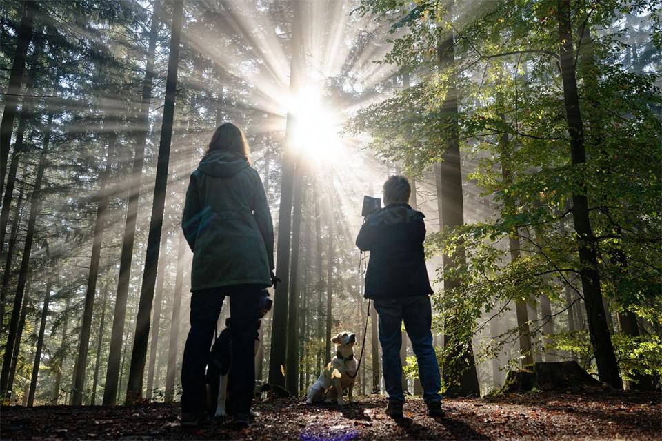 Insbesondere im Hochschwarzwald ist am Samstag mit viel Sonne zu rechnen. (Archivbild vom 28.10.2026)Uwe Anspach/dpa