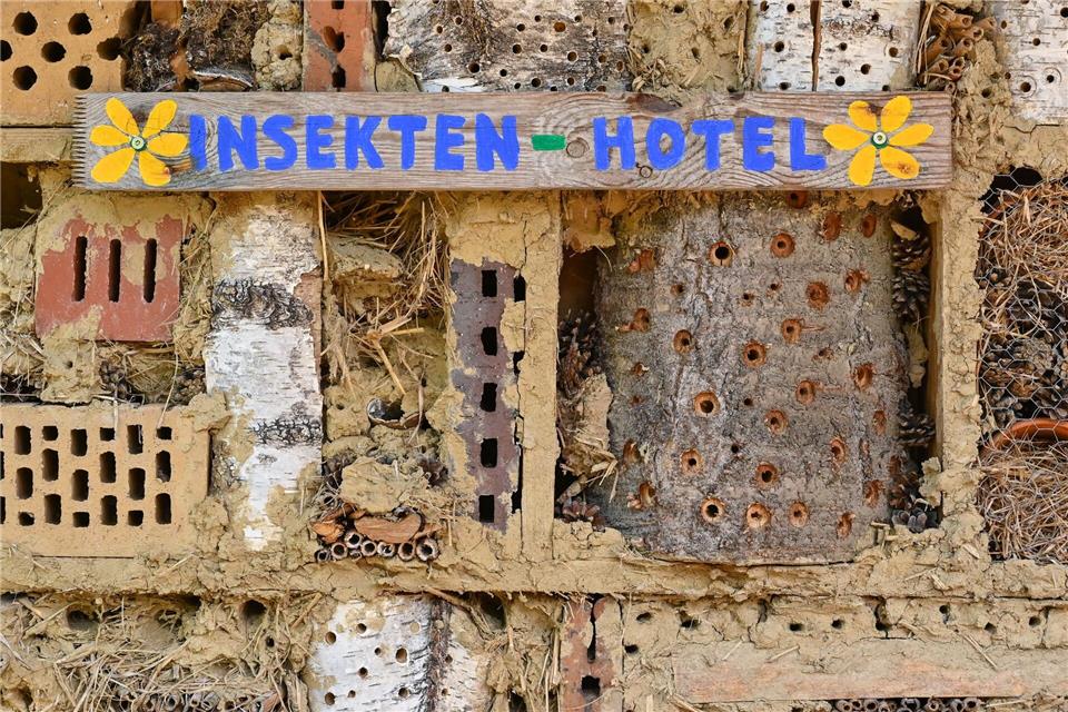 Insektenhotels sollten natürliche Materialien und eine Vielzahl von Röhren mit unterschiedlichen Durchmessern aufweisen.picture alliance/dpa/dpa-Zentralbild