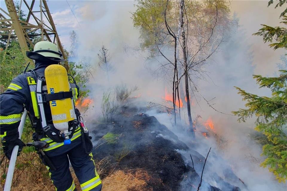 Insgesamt waren in der Nacht 330 Feuerwehrleute im Einsatz.Christian Klemm/dpa