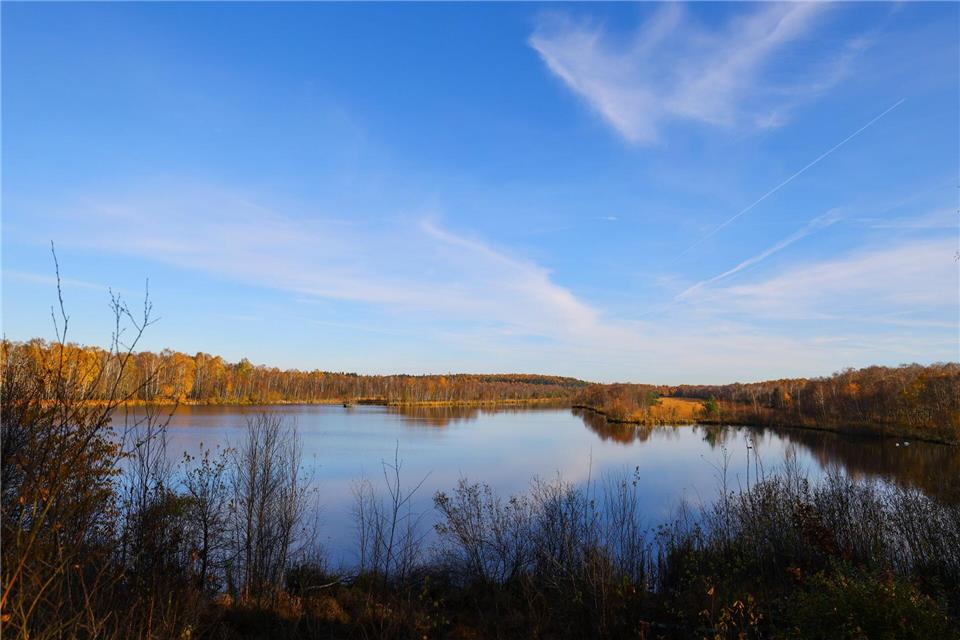 Insgesamt werden 1.000 Hektar neue Naturschutzgebiete ausgewiesen - darunter auch das Hasenmoor.Christian Charisius/dpa