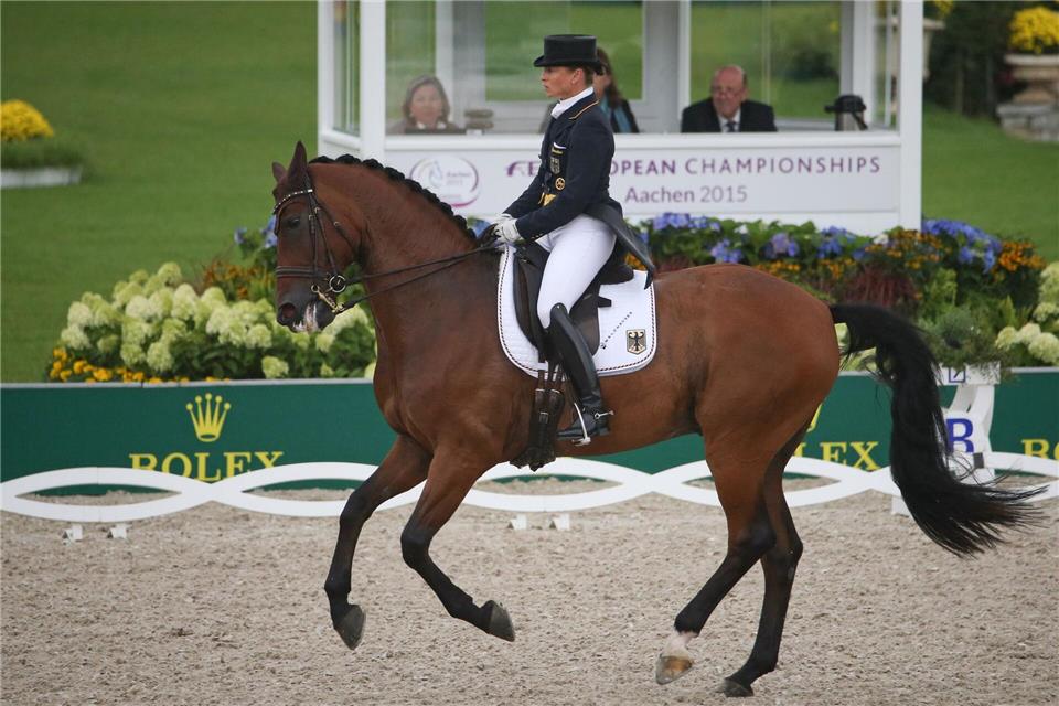 Isabell Werths Pferd Don Johnson, hier bei der EM 2015 in Aachen, ist tot. (Archivbild)picture alliance / dpa