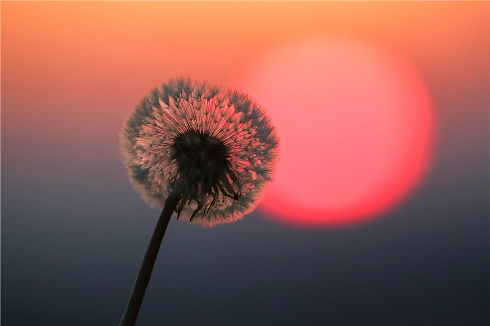 Ist es das schon? Viele Frauen sind sich anfangs unsicher, ob das nun schon der Beginn der Wechseljahre ist. picture alliance/dpa