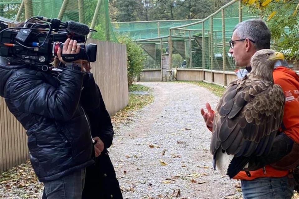 Jacque-Oliver Travers - hier bei einem Interview - ist der Direktor des Tierparks, das die Seeadler am Genfer See wieder in freier Wildbahn ausgesiedelt.