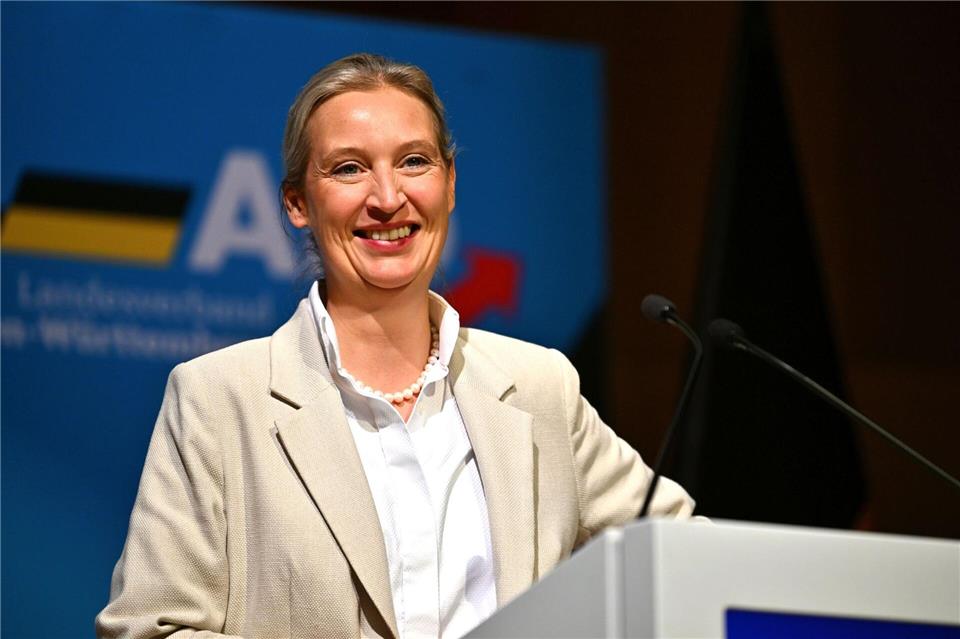 Jahrelang tobte im Landesverband ein Machtkampf zwischen den Anhängern und Gegnern von Co-Bundesparteichefin Alice Weidel.Jan-Philipp Strobel/dpa