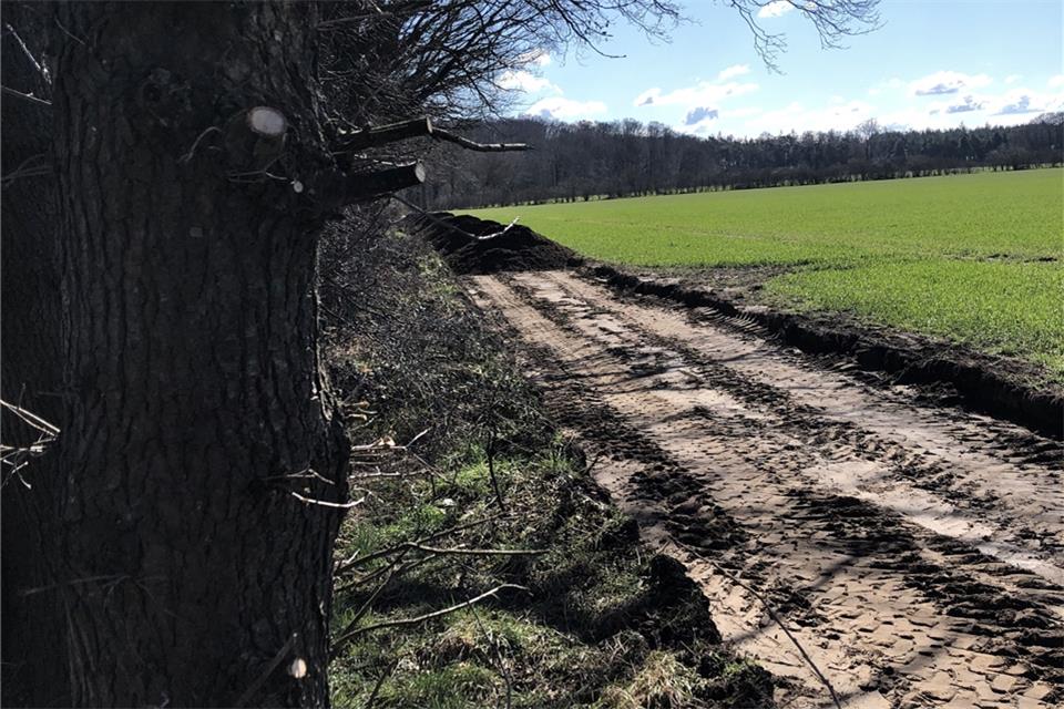 Jahrzehntelang führte ein Wanderweg auf diesem Privatgelände am Engelradingbach entlang Richtung Friedhof. Jetzt gilt: Betreten verboten.Schönherr