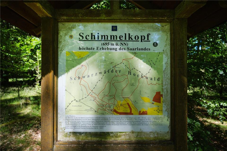 Jahrzehntelang war der Schimmelkopf die höchste natürliche Erhebung des Saarlandes. - bis 2005 neue, präzisere Messungen kamen.Oliver Dietze/dpa