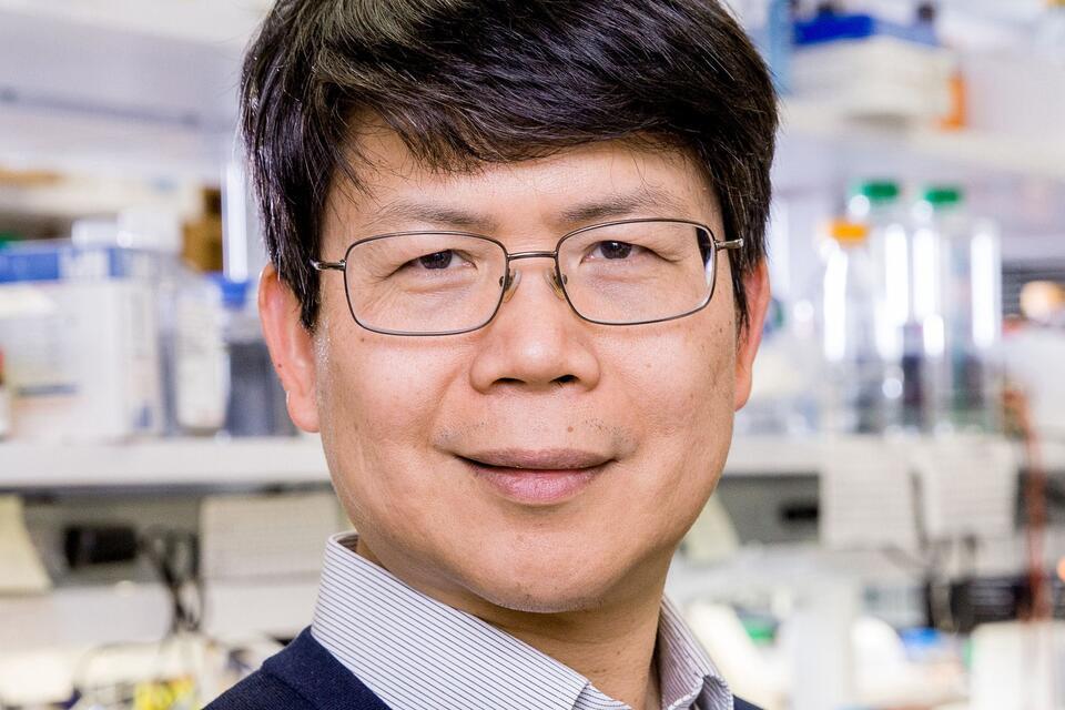James Zhijian Chen  wird 2025 den Paul Ehrlich- und Ludwig Darmstaedter-Preis bekommen.Mei-Chun Jau/UT Southwestern Medical Center-/dpa